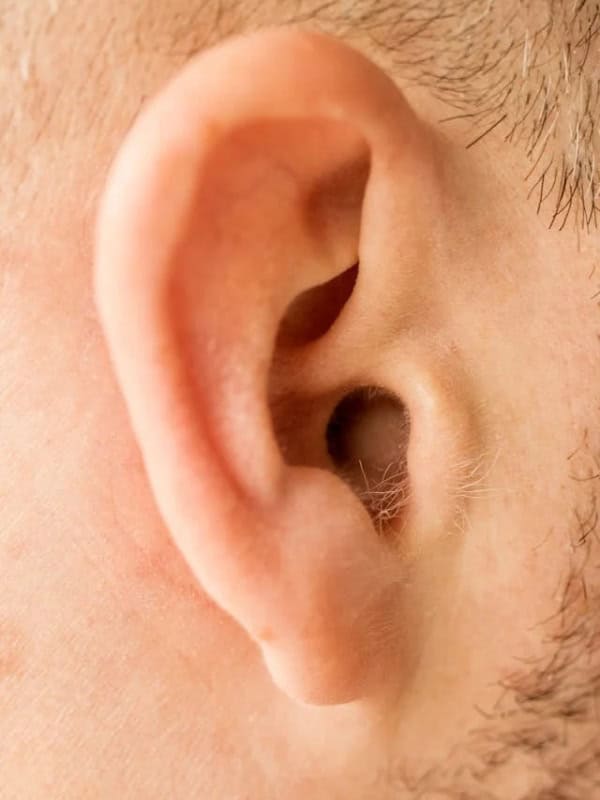 Close-up of a human ear