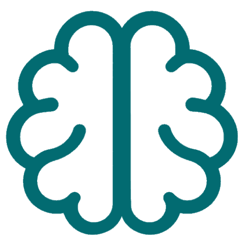 brain icon